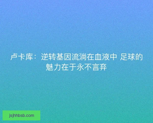 卢卡库：逆转基因流淌在血液中 足球的魅力在于永不言弃